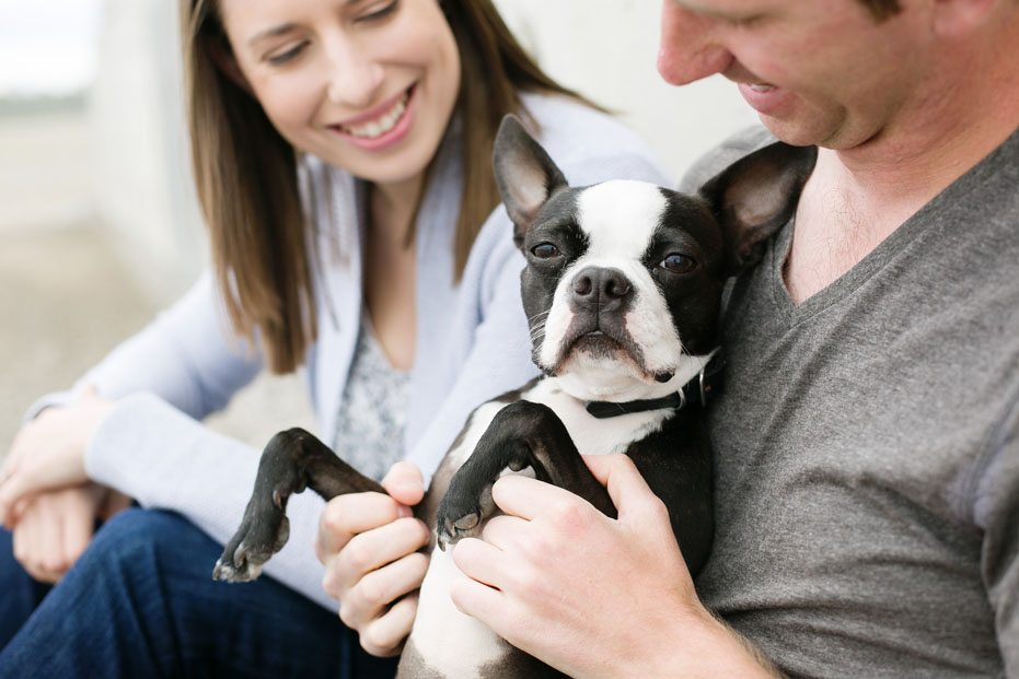 a newly engaged couple with their cute boston terrier puppy